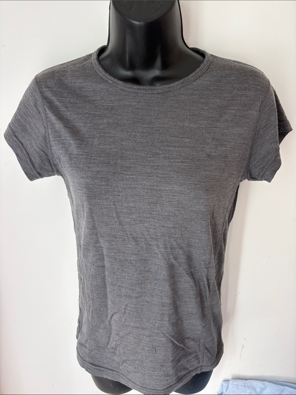 Minus 33 merino wool Classic Women's Gray Crewneck Tee